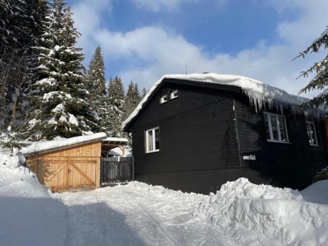 Appartamento Nordik 1496 Vysoké Tatry Esterno foto