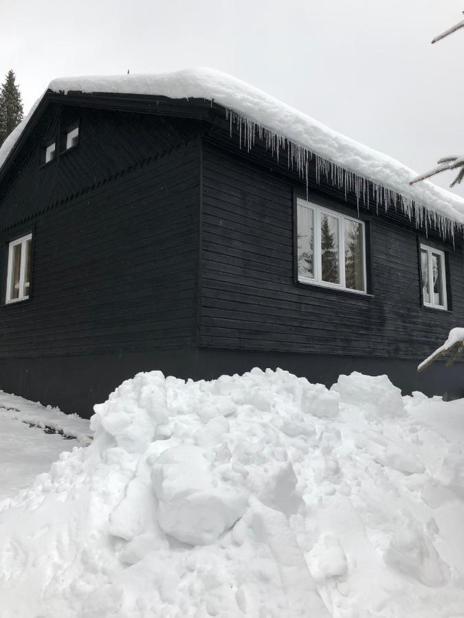 Appartamento Nordik 1496 Vysoké Tatry Esterno foto